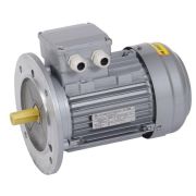 Электродвигатель трехфазный АИР 71B4 380В 0,75кВт 1500об/мин 3081 DRIVE
