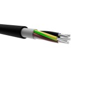 Кабель силовой АВВГнг(А)-LS 5х10ок-0,66(N,PE) ТРТС